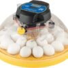 Brinsea Maxi 24 Advance Egg Incubator with Automatic Egg Turning and Temperature Control for Hatching 24 Chicken, Duck, Parrots, or Other Eggs,-...
