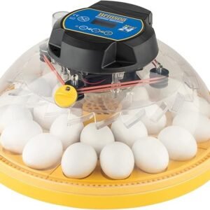 Brinsea Maxi 24 Advance Egg Incubator with Automatic Egg Turning and Temperature Control for Hatching 24 Chicken, Duck, Parrots, or Other Eggs,-...