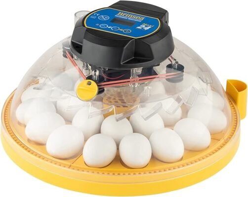 Brinsea Maxi 24 Advance Egg Incubator with Automatic Egg Turning and Temperature Control for Hatching 24 Chicken, Duck, Parrots, or Other Eggs,-...